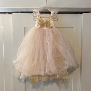 Pottery Barn Kids Butterfly Fairy Costume Dress (Dress, bag, wings)